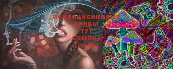 шишки Балахна