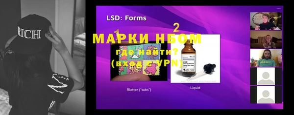 шишки Балахна