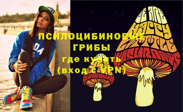 шишки Балахна