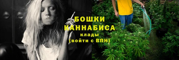 шишки Балахна