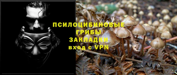 а пвп мука Балабаново