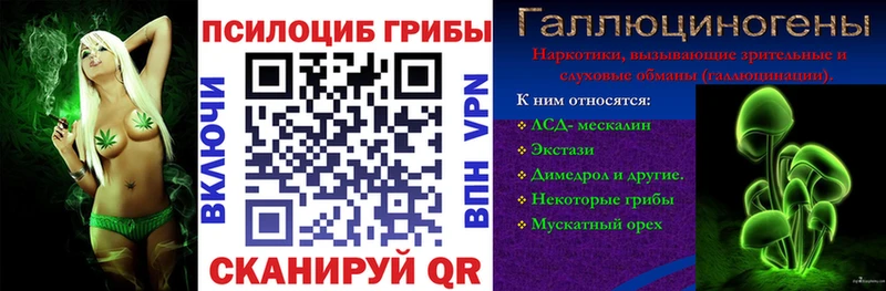 площадка официальный сайт  сколько стоит  Сим  Псилоцибиновые грибы MAGIC MUSHROOMS 